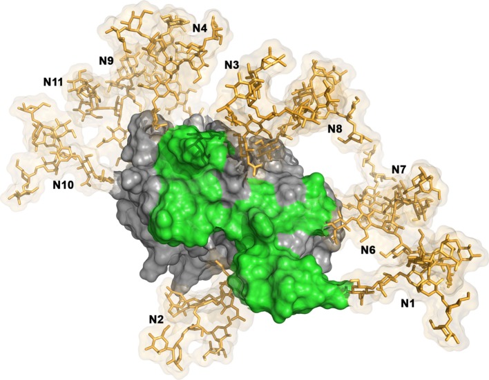 Figure 2