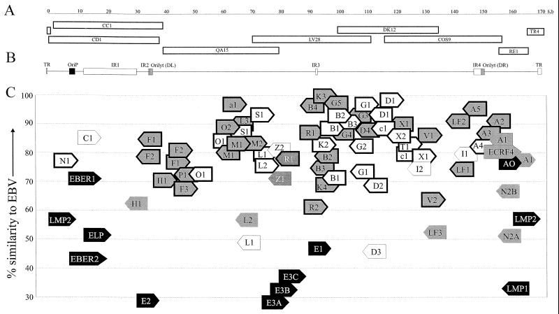 FIG. 1.