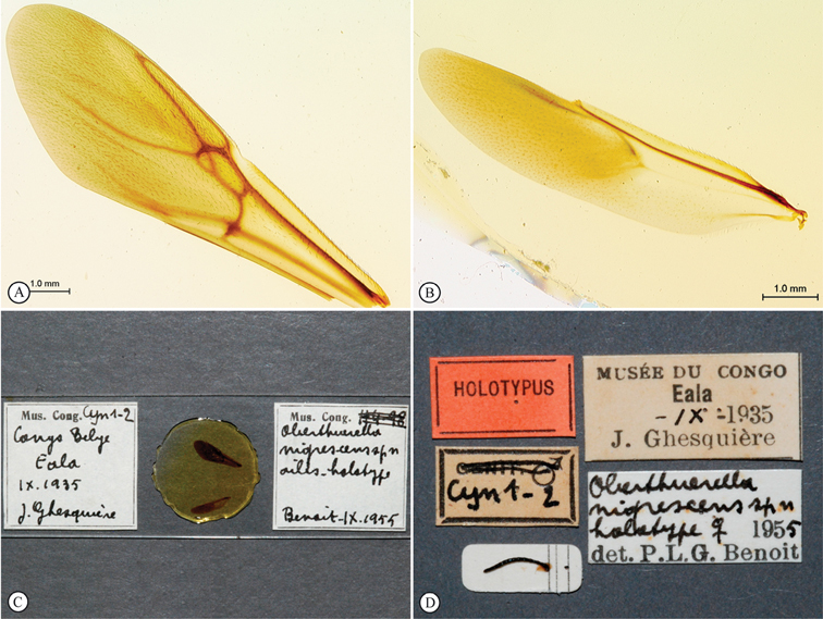 Figure 25.