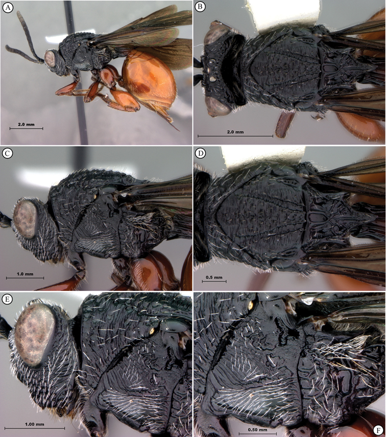 Figure 28.