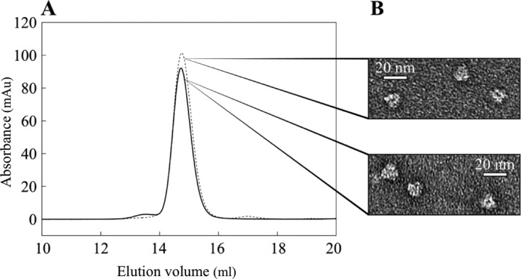 FIG 2