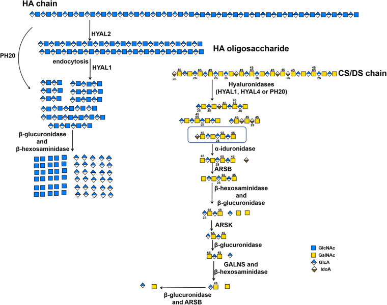 FIGURE 2