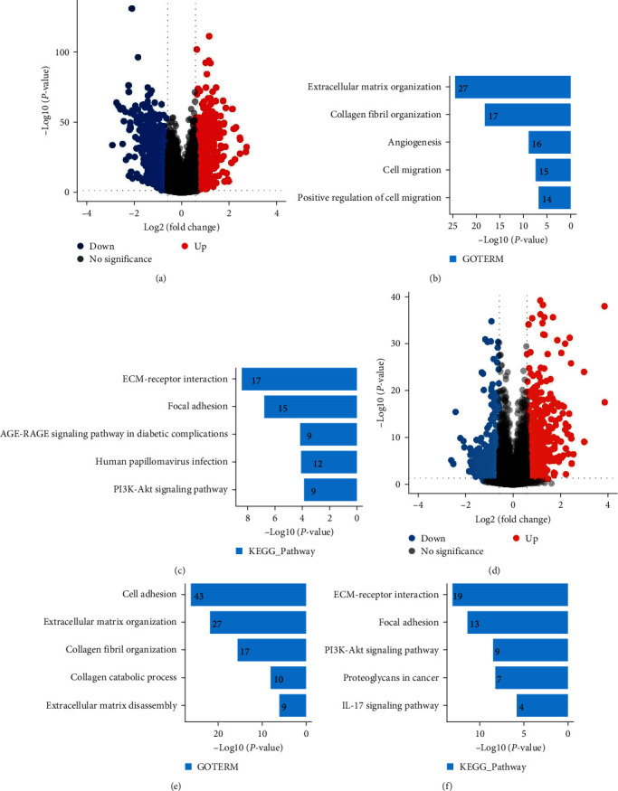 Fap serves as a prognostic biomarker in head and neck squamous cell