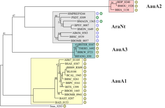 FIGURE 3