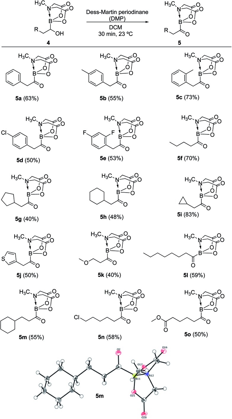 Scheme 6