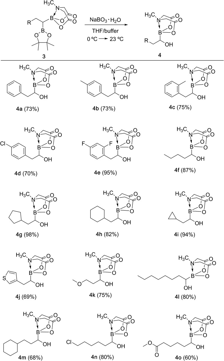 Scheme 5