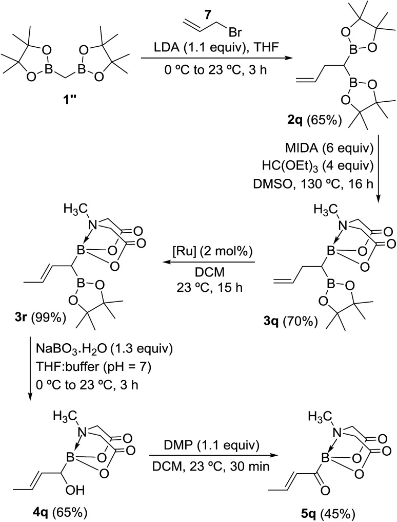 Scheme 8