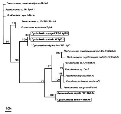 FIG. 3