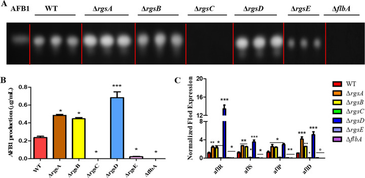 FIG 3