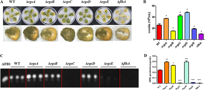 FIG 4