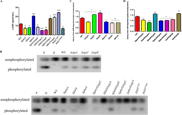 FIG 11