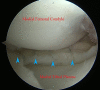 Fig 8