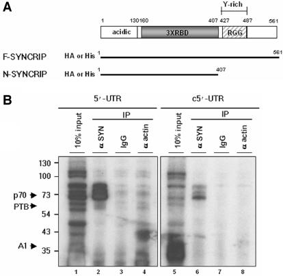 FIG. 2.