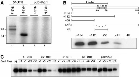 FIG. 3.