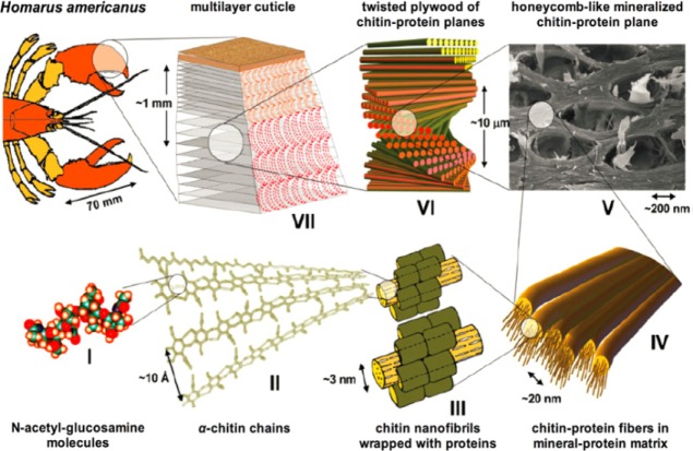 Figure 7.