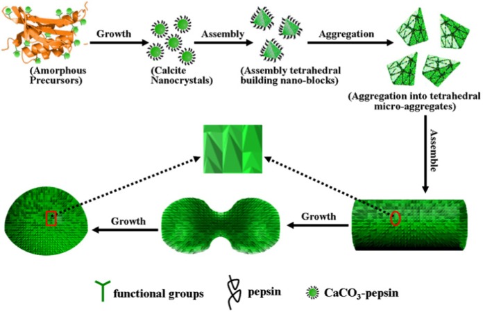 Figure 20.