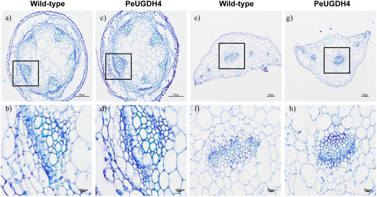 Figure 11