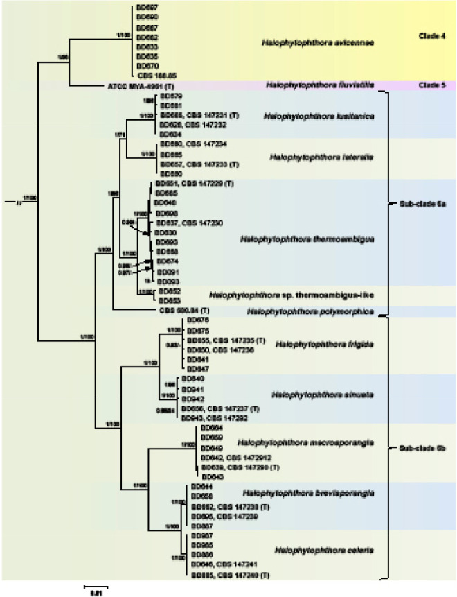 Fig. 4