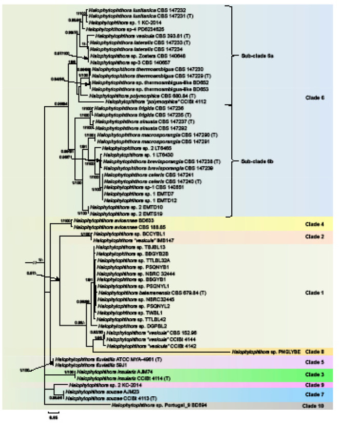 Fig. 3