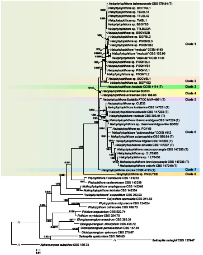 Fig. 2