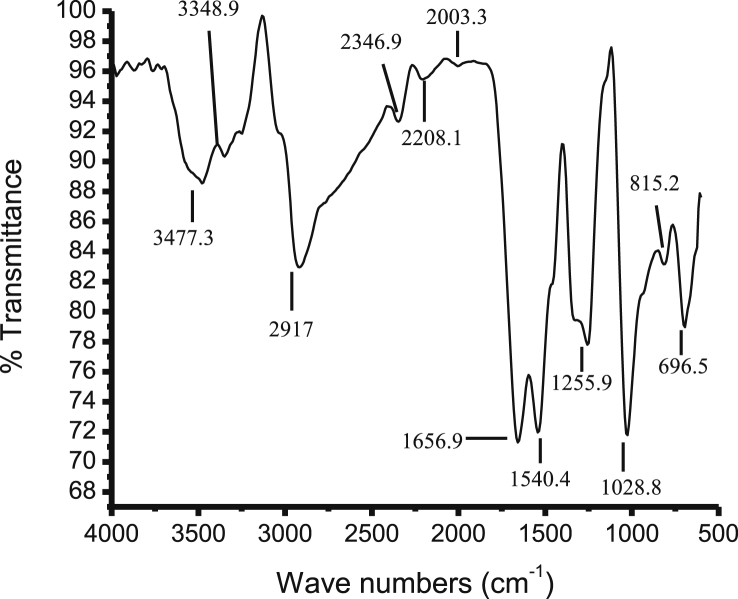 Fig. 3