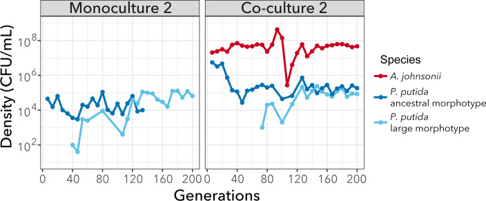 The line graphs compare bacterial species density in monoculture versus co-culture. They show the population dynamics of different species at various densities, illustrating how they interact and evolve across generations in their environments.