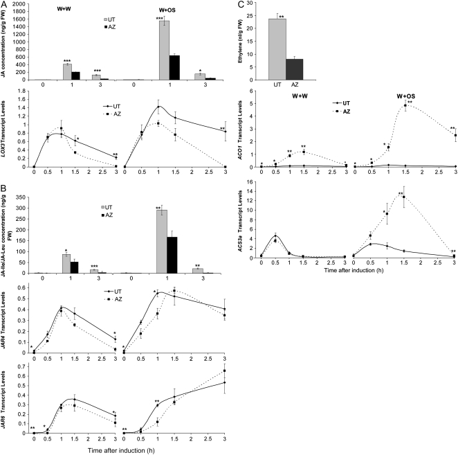 Figure 5.