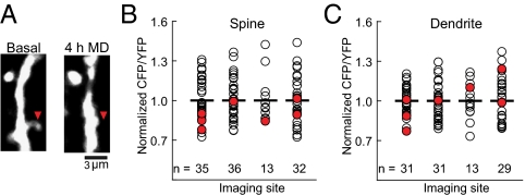 Fig. 4.