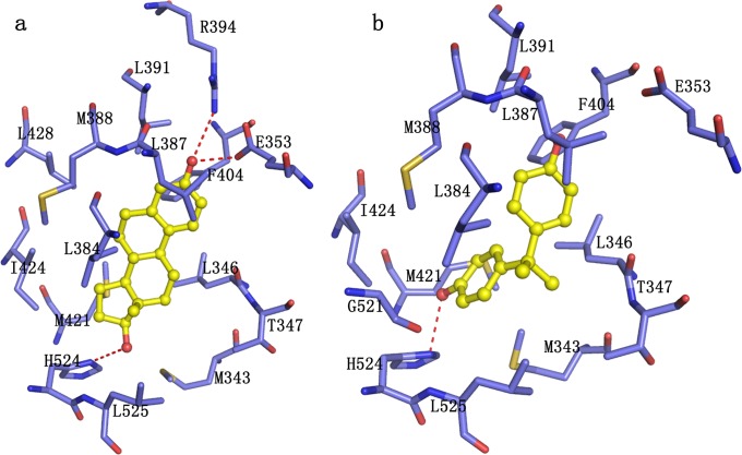 Fig 10