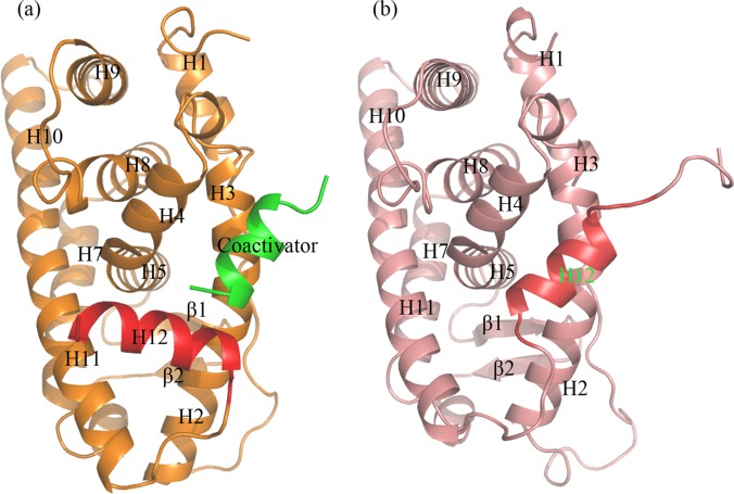 Fig 5