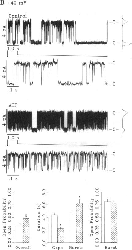 graphic file with name pnas01079-0115-a.jpg