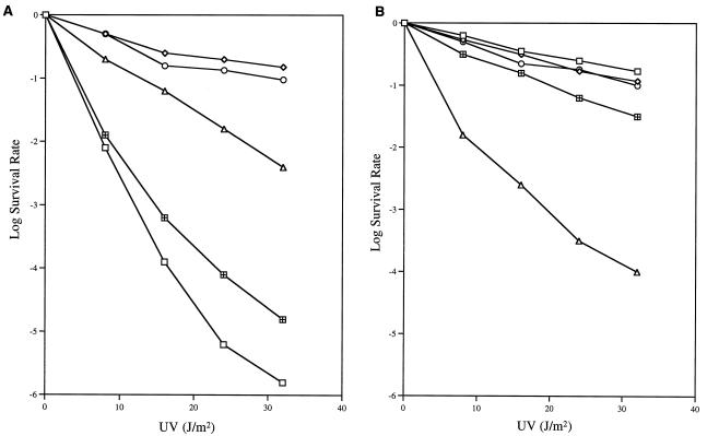 FIG. 5