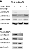 FIG. 8.