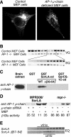 FIG. 7.