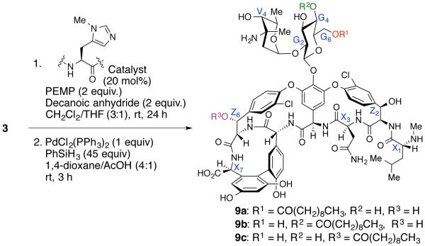 Scheme 3