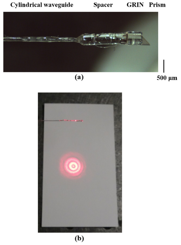 Fig. 2