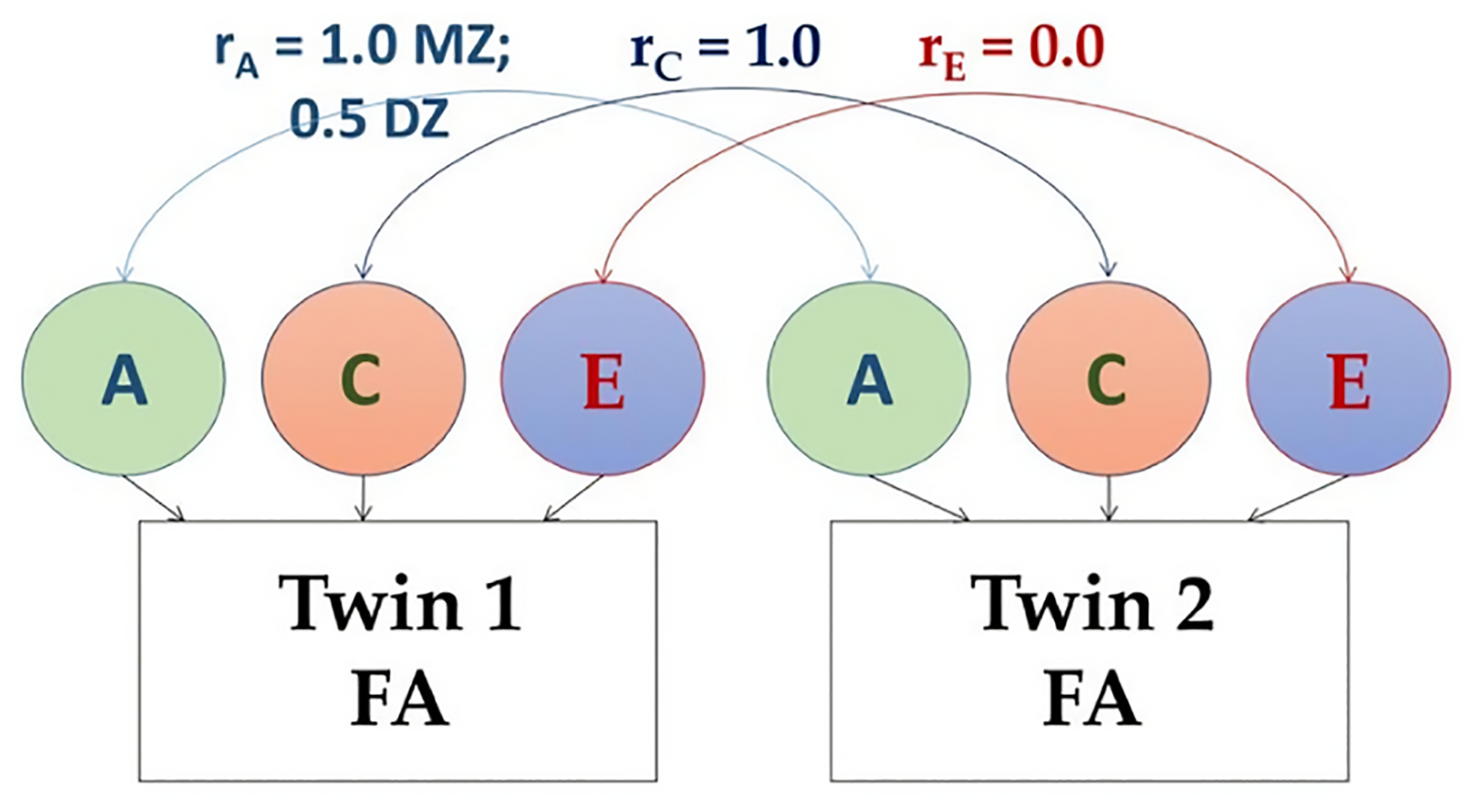 Fig. 1: