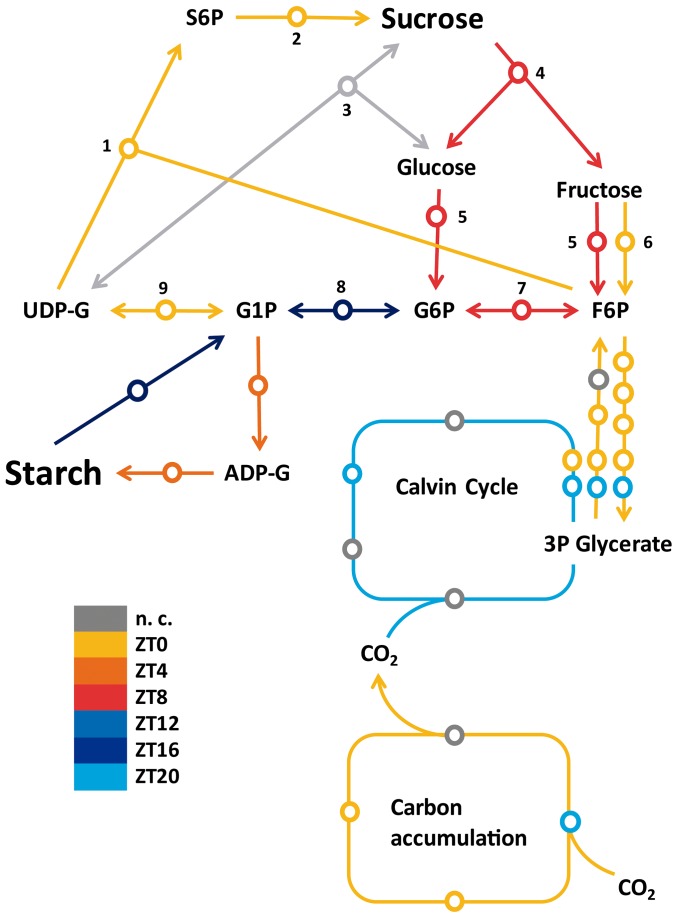 Figure 9