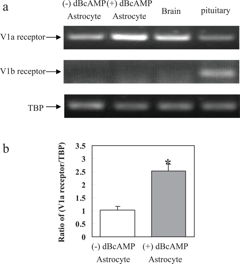 Fig. (5)