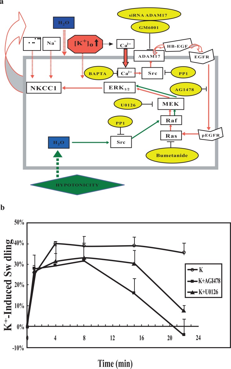 Fig. (2)