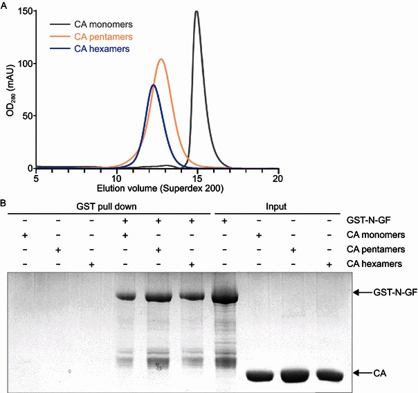 Figure 2