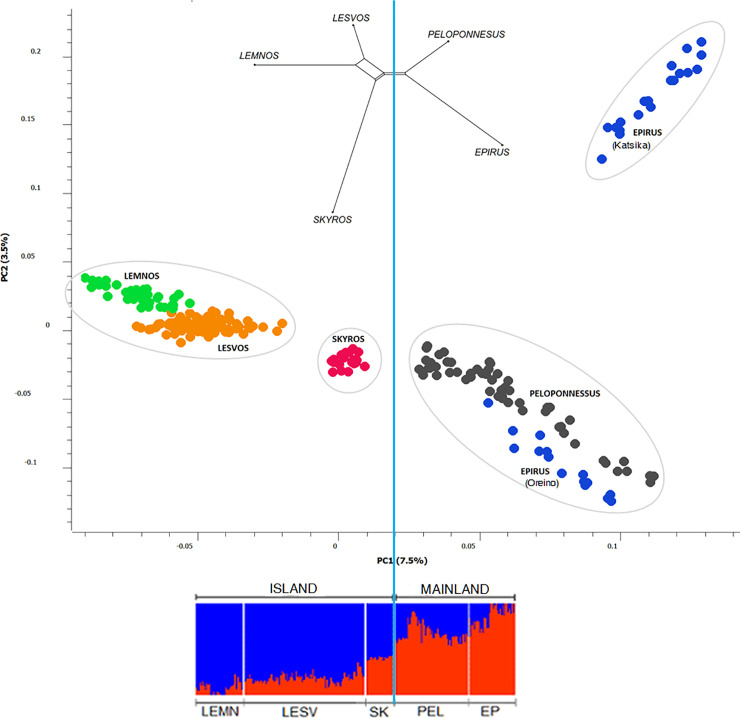 Fig 1