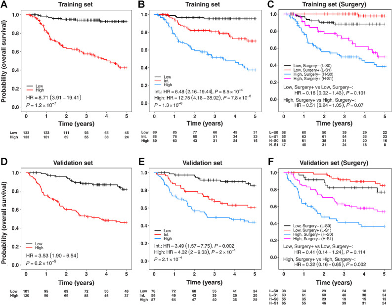 Figure 3. A–C, Prognostic and predictive assessment of risk groups predicted by multivariable survival model (trained with backward elimination using AIC) based on molecular biomarkers only with OS, when applied to the training cohort. D–F, Prognostic and predictive assessment of risk groups predicted by the molecular biomarkers only multivariable model, when applied to the validation cohort. Risk groups in the validation cohort were created using the thresholds (two-group classification: median risk score; three-group classification: tertiles of risk score) derived from the training set. Color key A, D: black = low-risk group, red = high-risk group; B, E: black = low-risk, red = intermediate (Int.)-risk, Blue=high-risk group; C, F: Red = low-risk surgery, black = low-risk no surgery, pink = high-risk surgery, blue = high-risk no surgery group. Models were adjusted for clinical covariates: T-category, N-category, smoking status, age, radiotherapy, and chemotherapy.