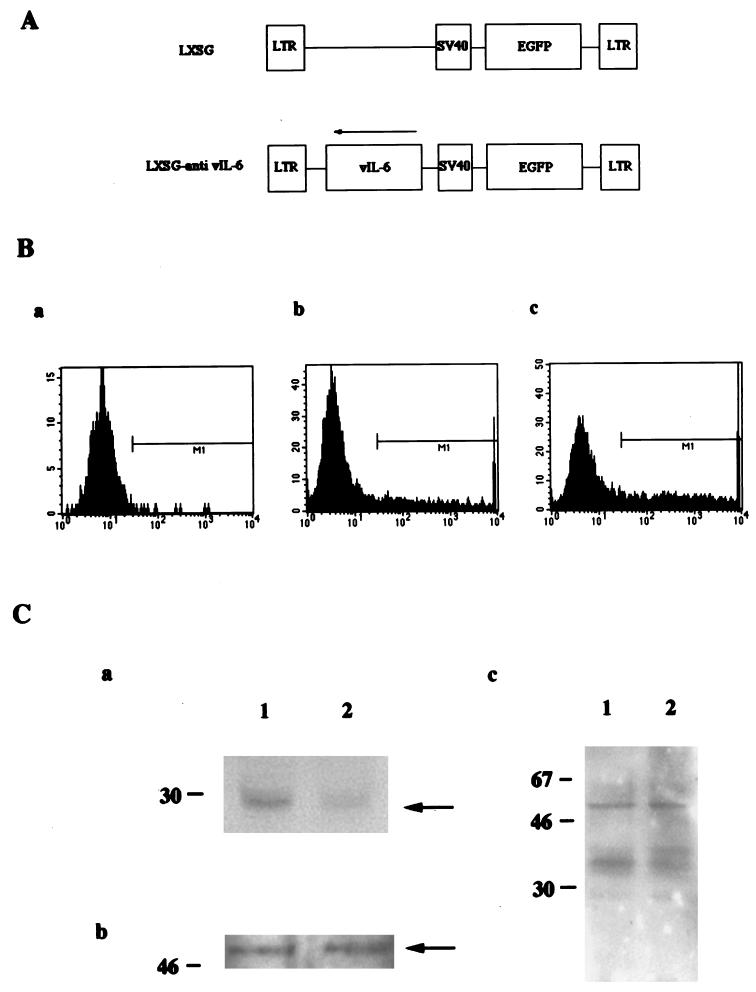 FIG. 7