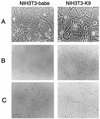 FIG. 3