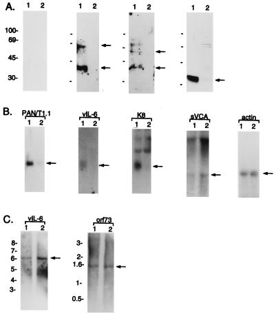 FIG. 6