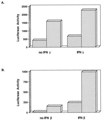 FIG. 5