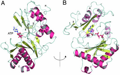 Fig. 2.