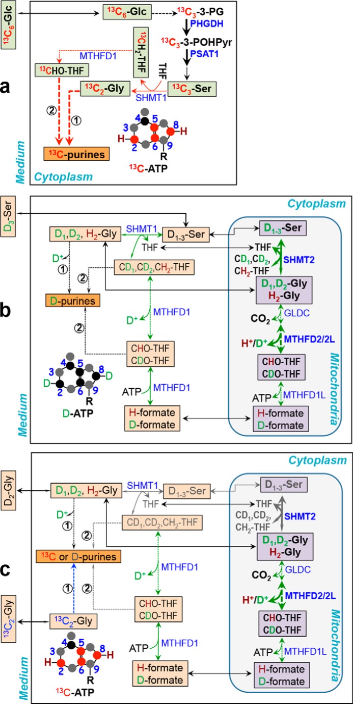 Figure 5.