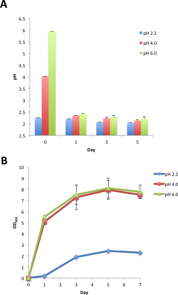 Fig 6